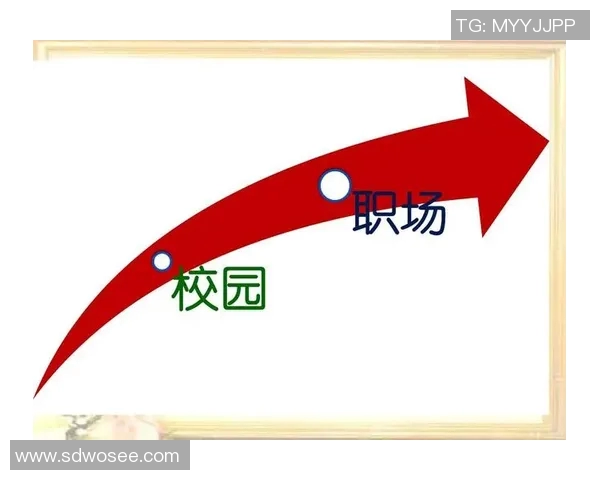 何思雨的成长之路：从校园到职场的蜕变与探索