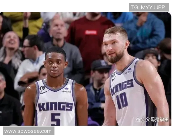 公牛队与独行侠队对决分析：战术策略与球员表现全面解读