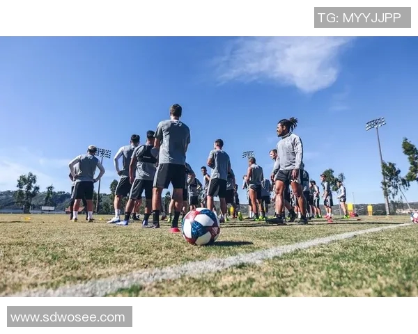 孙兴O的足球之路:从少年梦想到国际舞台的璀璨星光 孙兴O的足球之路:从少年梦想到国际舞台的璀璨星光