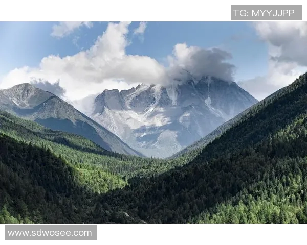 山与MIfc的对决探索自然与科技的交融之美