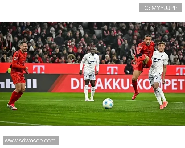 拜仁慕尼黑迎战霍芬海姆全力争胜力争德甲冠军荣耀