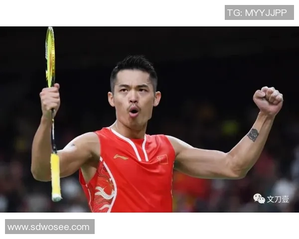 林丹与李东根精彩对决视频回顾经典时刻不容错过的羽毛球盛宴