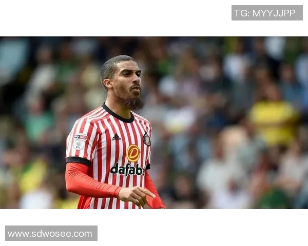 维拉与诺维奇对决前瞻分析球队状态与战术布置探讨