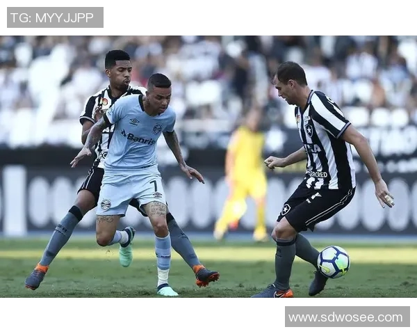 累西腓与博塔的对决:巴西足球激情碰撞的精彩瞬间与战术分析 累西腓与博塔的对决:巴西足球激情碰撞的精彩瞬间与战术分析