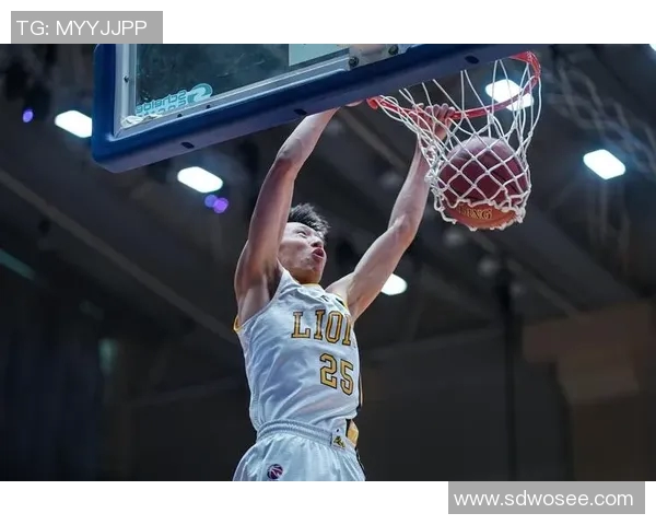 赵岩昊:从篮球新星到国家队核心的成长之路与未来展望 赵岩昊:从篮球新星到国家队核心的成长之路与未来展望