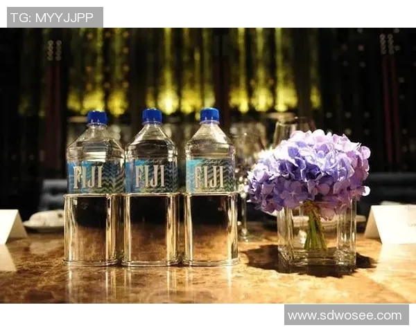 马来西亚与斐济足球对决精彩纷呈谁能赢得胜利的荣耀