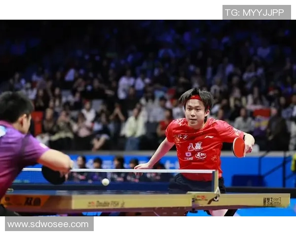 2015年王楚钦与马龙的精彩对决回顾与分析 2015年王楚钦与马龙的精彩对决回顾与分析