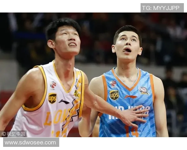 2014至2015赛季广东队与辽宁队的精彩对决回顾与分析