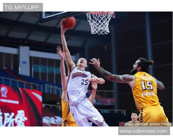 上海广厦对决精彩录像回放全程回顾与精彩瞬间分析