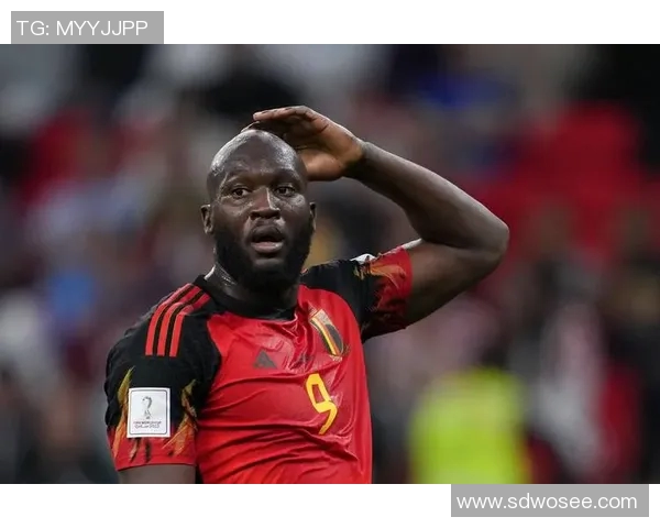 卢卡库在国际赛场的表现如何影响他的职业生涯与未来发展方向分析