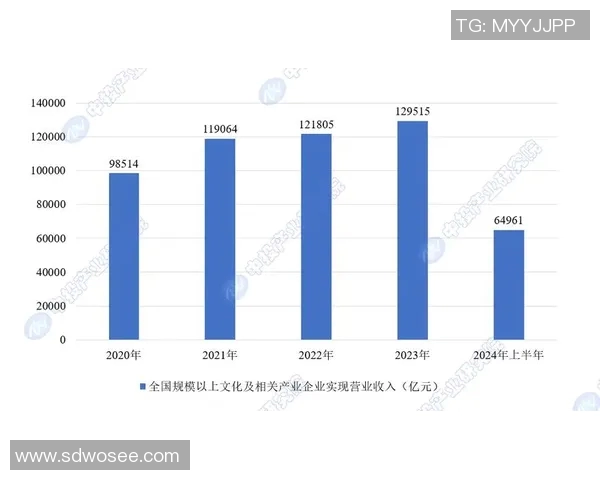 探索芹苴与胡志明市的文化差异与经济发展潜力之比较分析